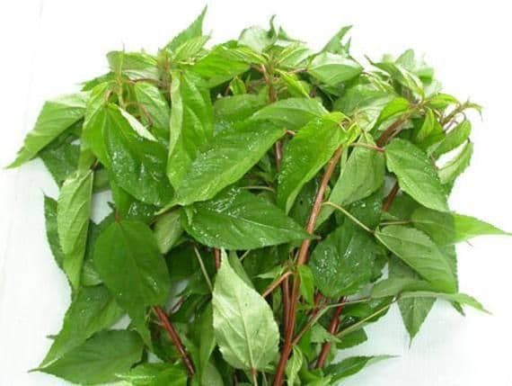 পাট শাক  (১ আটি)
