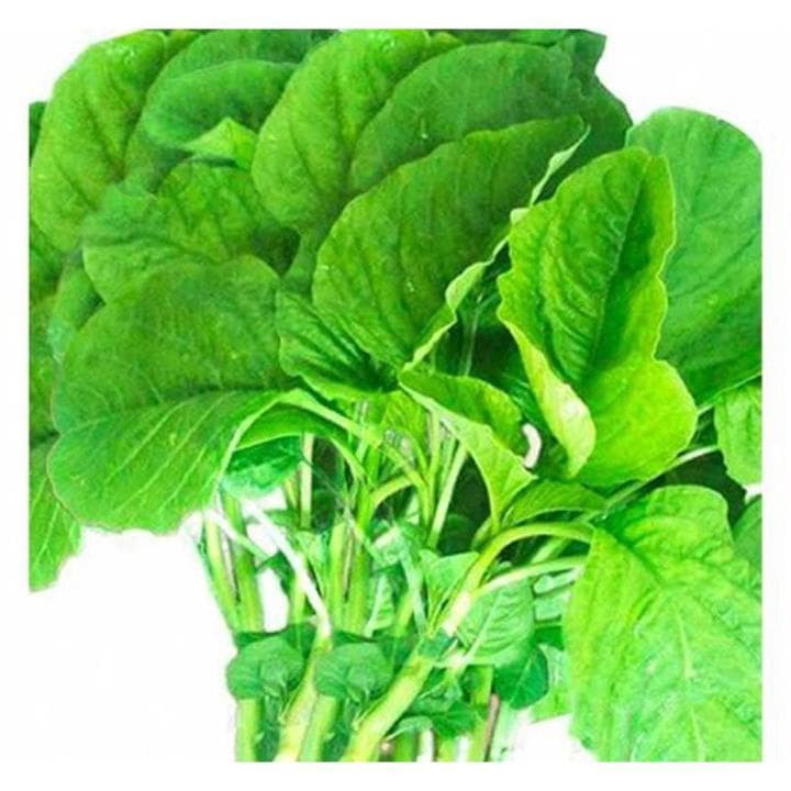 সবুজ শাক  (১ আটি)