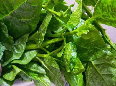 পুঁইশাক  (১ আটি)