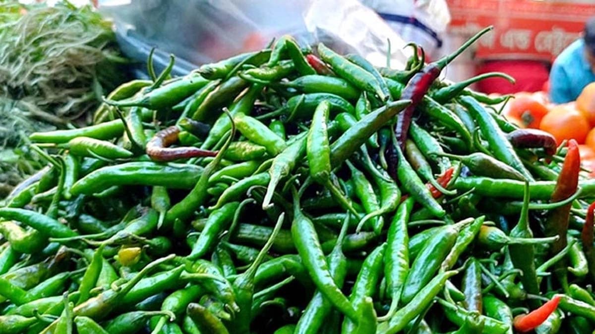 কাঁচামরিচ