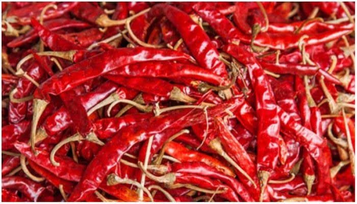 শুট মরিচ (১০ গ্রাম প্রায় )