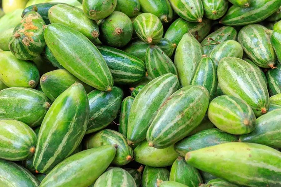 পটল
